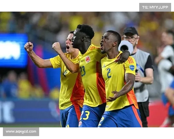 帕雷德斯与罗德里戈在美洲杯表现对比谁更具成功优势