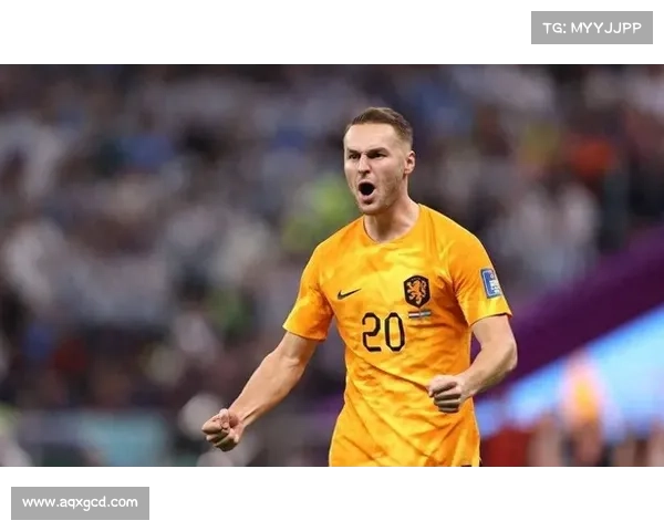 库普梅纳斯视角下运动员面对逆境的态度与心理调适策略分析