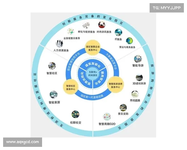 斯坦福桥解析：深入探讨其核心组织结构与运作模式
